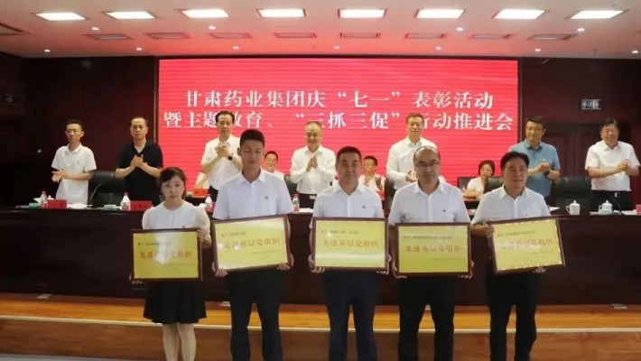 甘肅藥業(yè)集團(tuán)科技創(chuàng)新研究院黨支部榮獲“先進(jìn)基層黨組織”稱號！